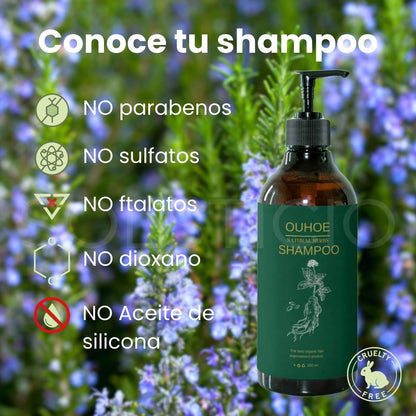 Detiene la Caída, la Irritación y la Sequedad – Shampoo de Romero con Acción Regenerativa