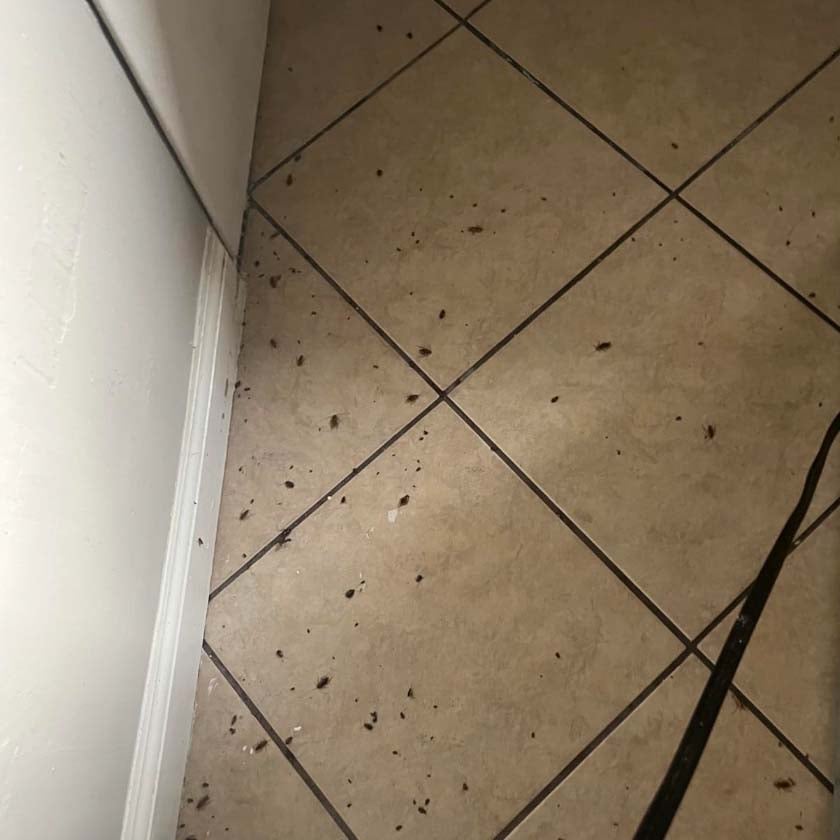 Customer under sink photo